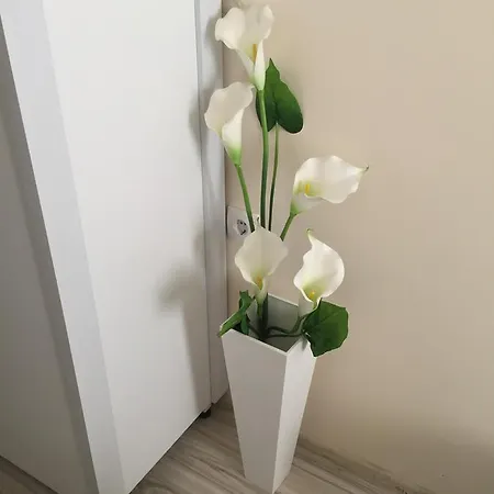 Hotel Palace Novi Sad